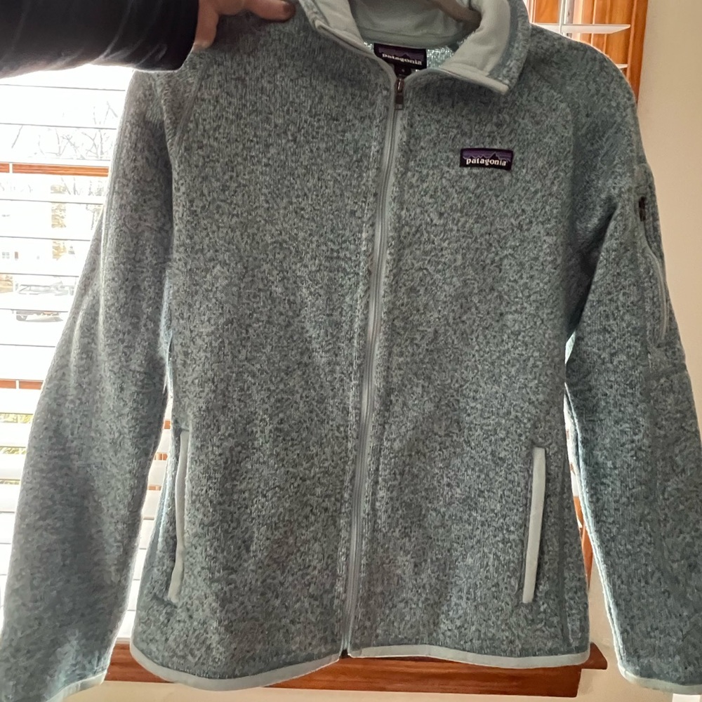 Patagonia Fleece Jacket (small)